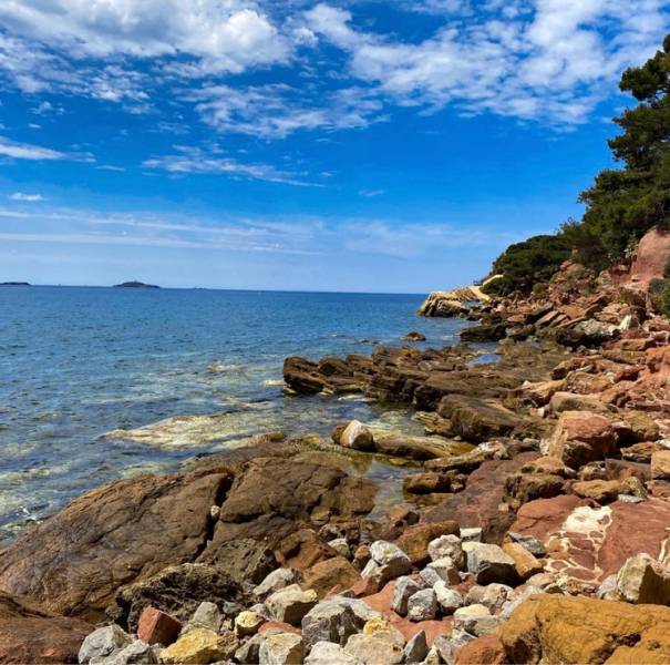 Bord de mer à Sanary